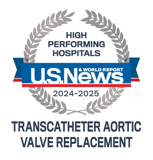 High performing badge for transcatheter aortic valve replacement