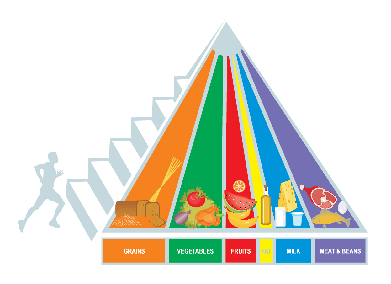 Tactile Food Pyramid Kit, Secondary APH Museum | peacecommission.kdsg ...